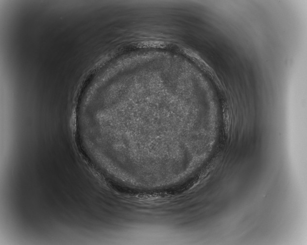 X0000087640729200705311326