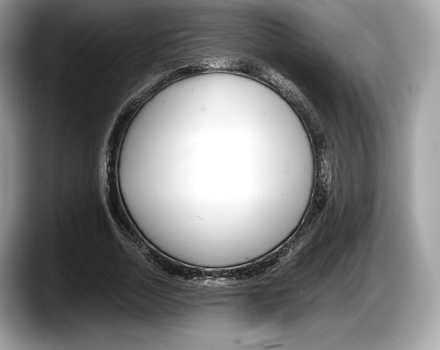 X0000087640730200705311326