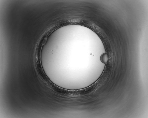 X0000087640731200705311326