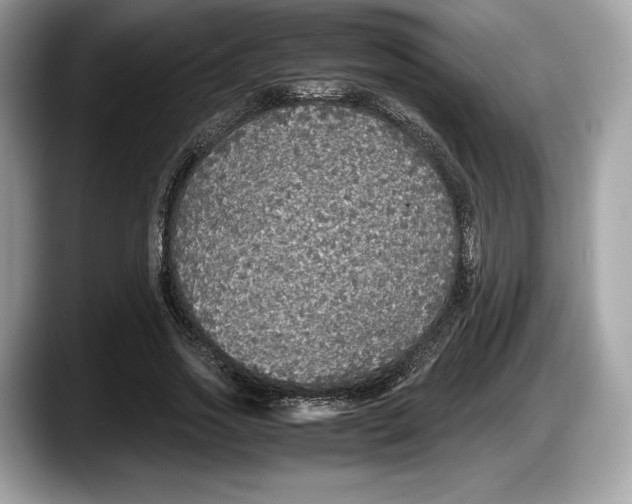 X0000087640733200705311326