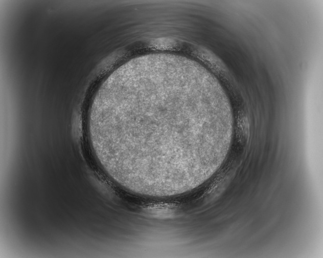 X0000087640734200705311326