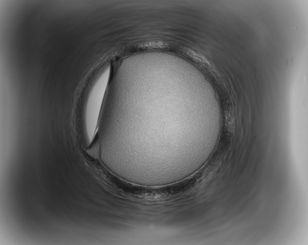 X0000087640735200705311326