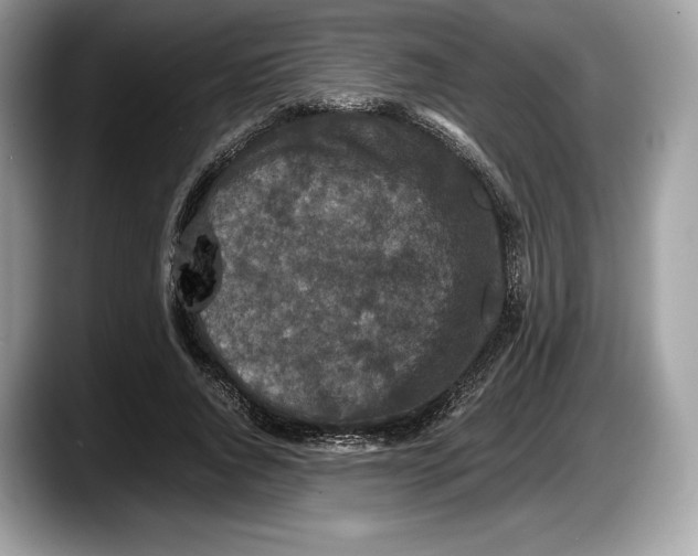 X0000087640736200705311326