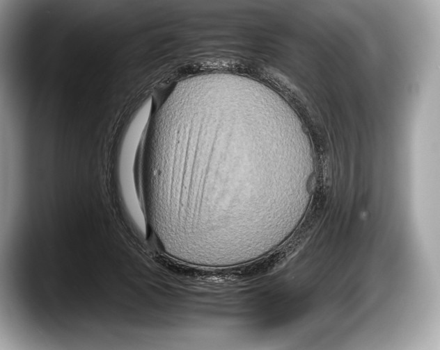 X0000087640737200705311326