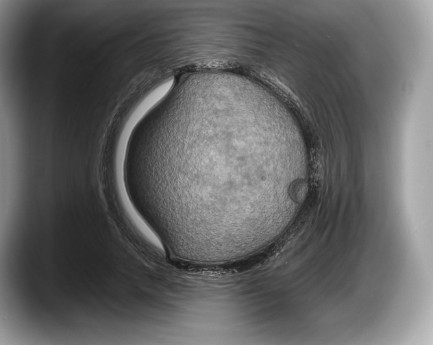 X0000087640738200705311326