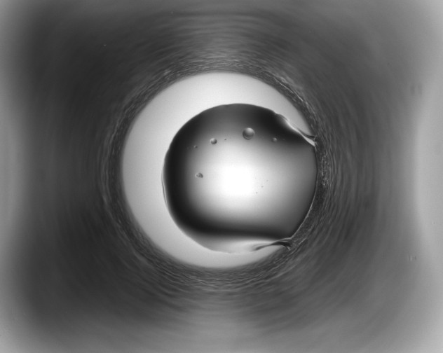 X0000087640740200705311326