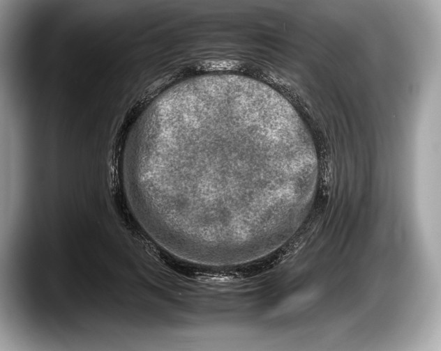 X0000087640743200705311326