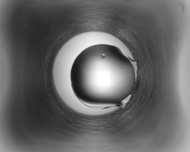 X0000087640744200705311326