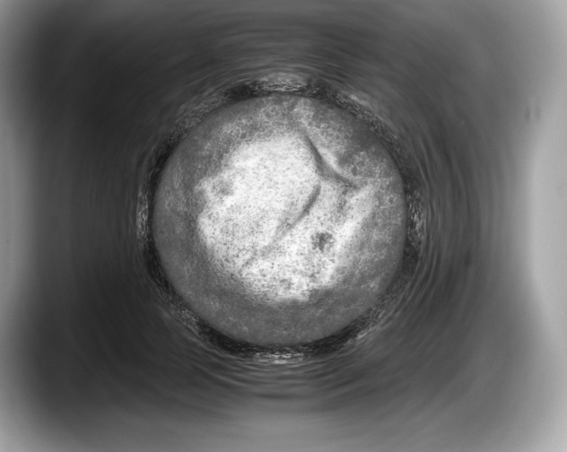 X0000087640745200705311326