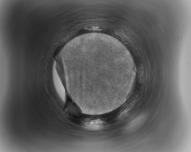 X0000087640747200705311326