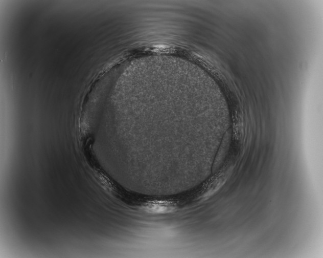 X0000087640748200705311326