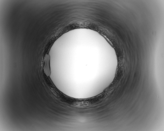 X0000087640752200705311326