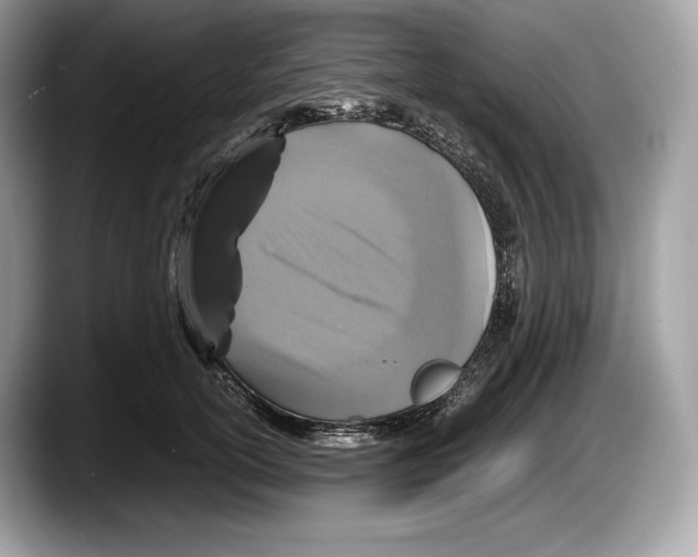 X0000087640754200705311326