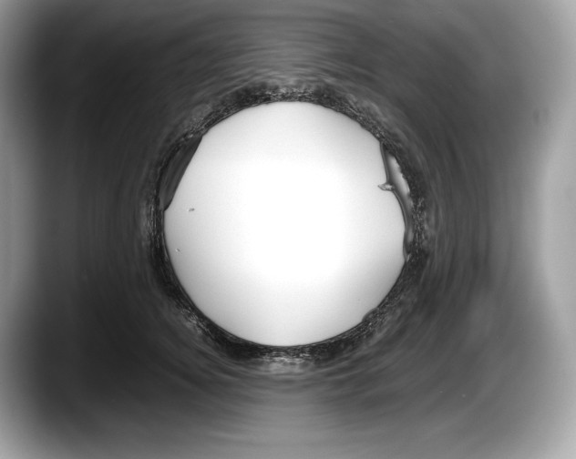 X0000087640756200705311326