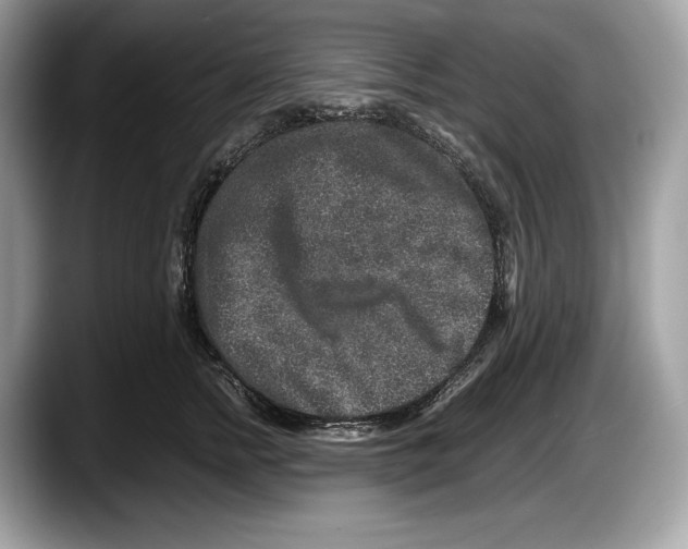 X0000087640758200705311326