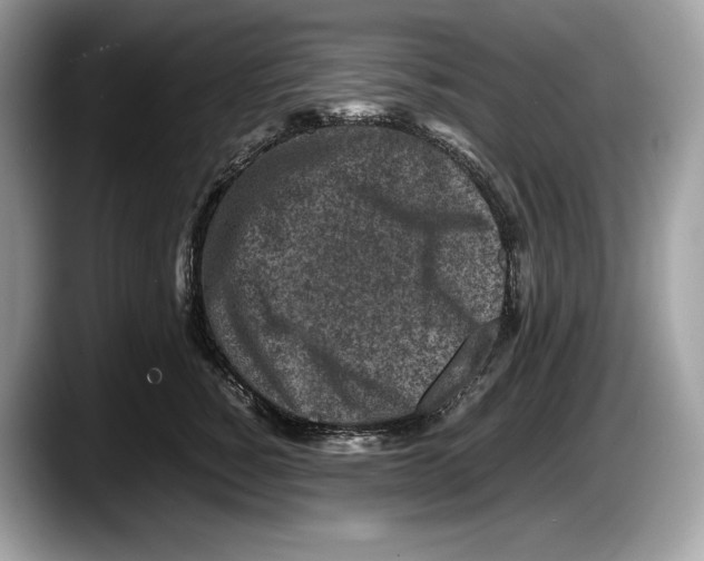 X0000087640760200705311326