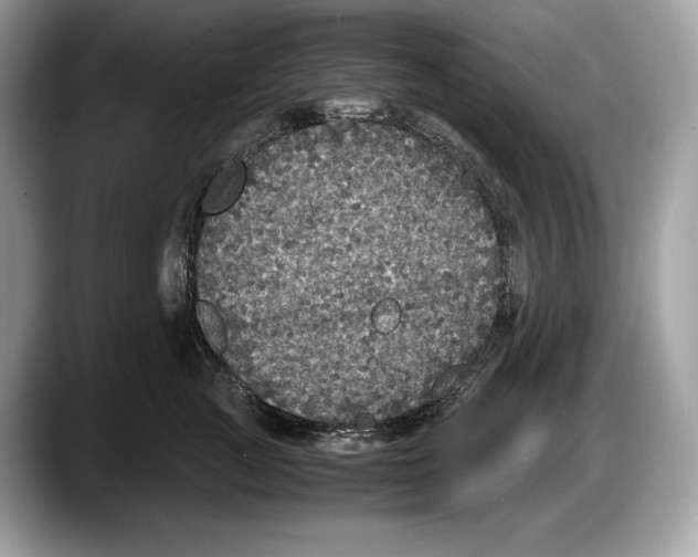 X0000087640761200705311326