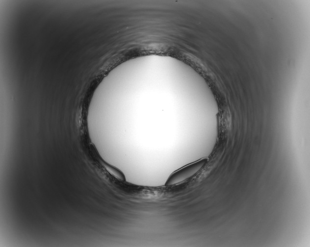 X0000087640764200705311326