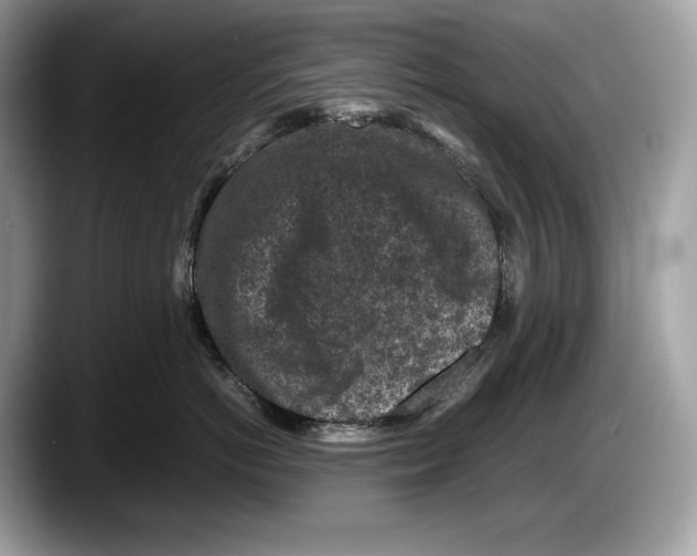 X0000087640766200705311326