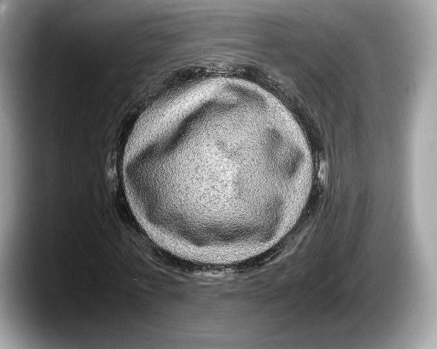 X0000087640771200705311326