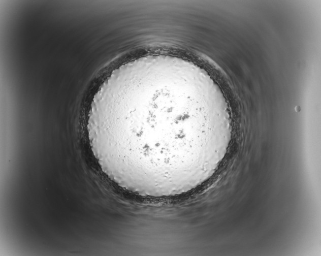 X0000087640775200705311326