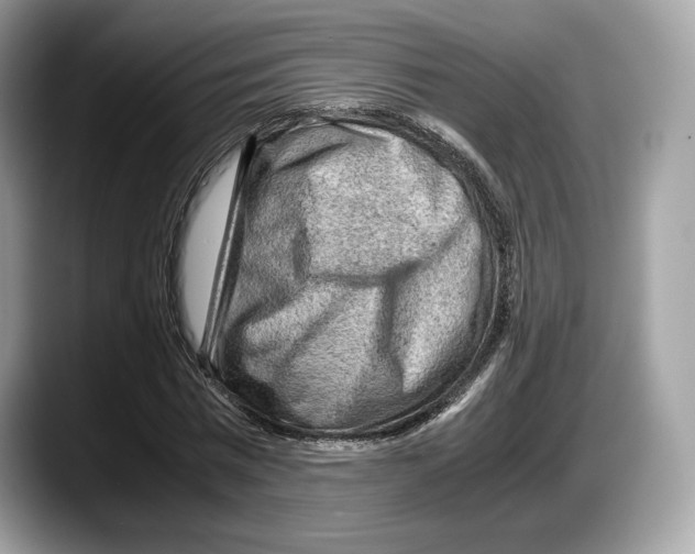 X0000087640777200705311326