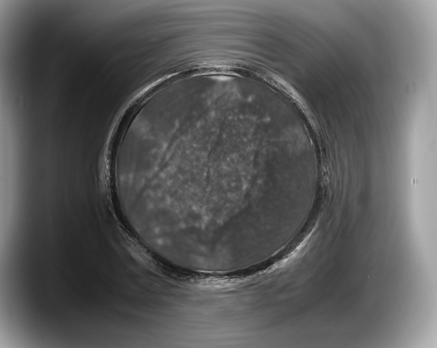 X0000087640779200705311326