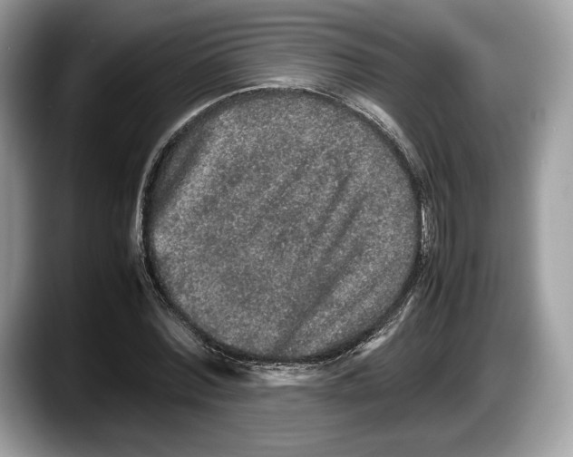 X0000087640780200705311326