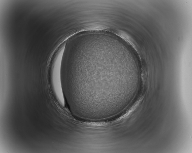 X0000087640781200705311326