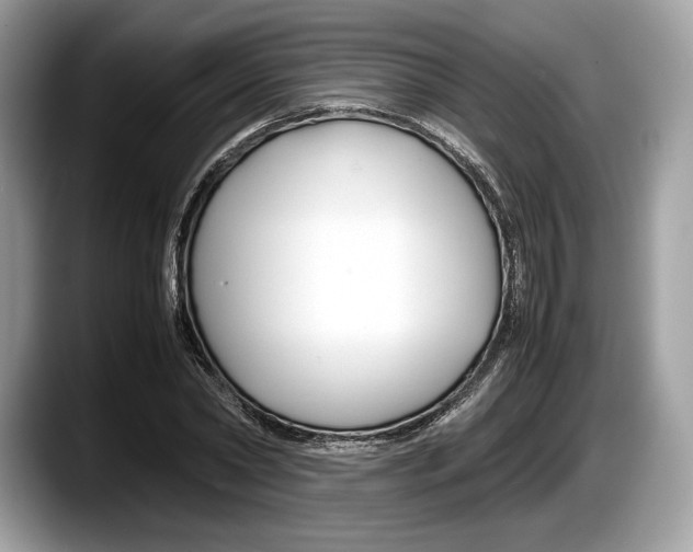 X0000087640782200705311326