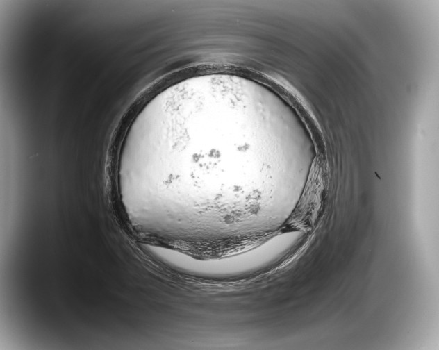 X0000087640783200705311326