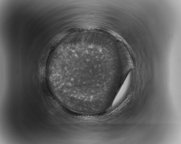 X0000087640785200705311326