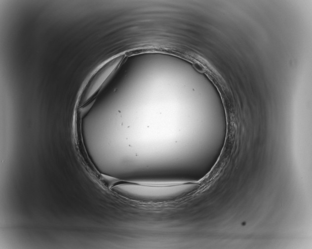 X0000087640788200705311326