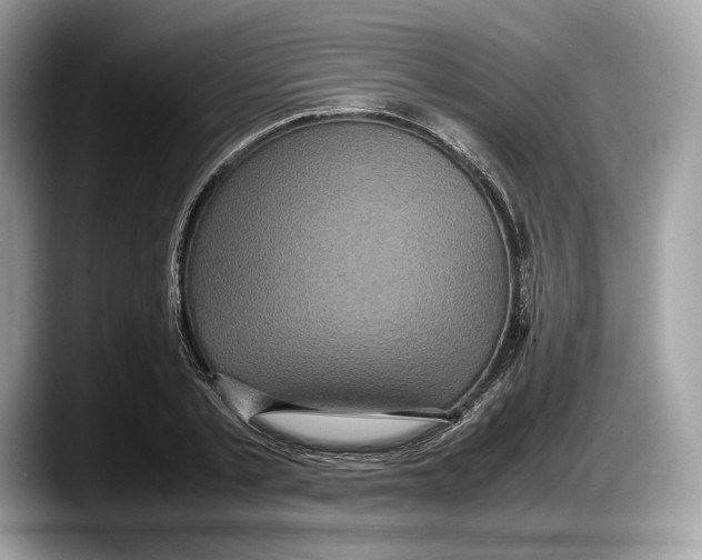 X0000087640789200705311326