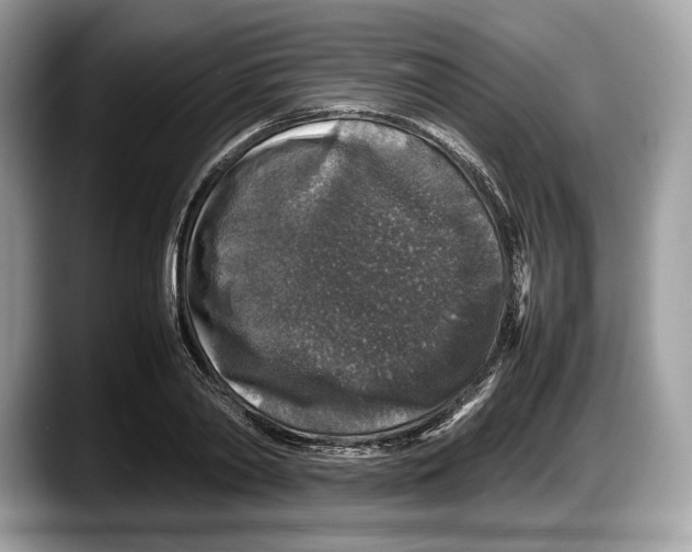 X0000087640790200705311326