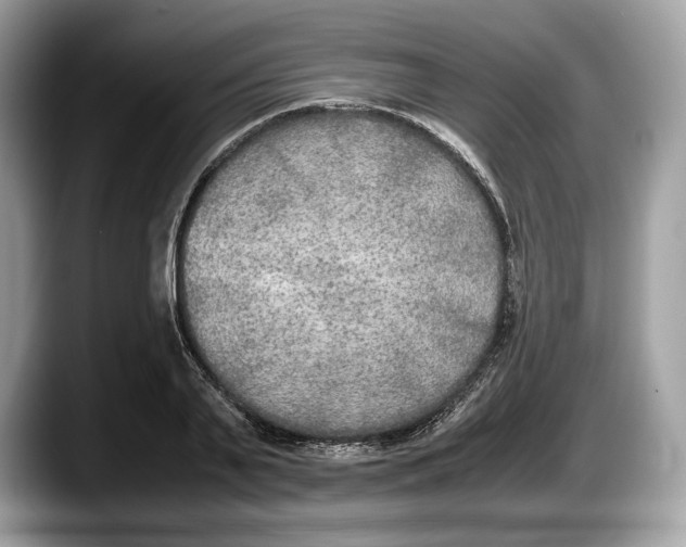 X0000087640791200705311326