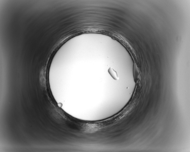 X0000087640794200705311326