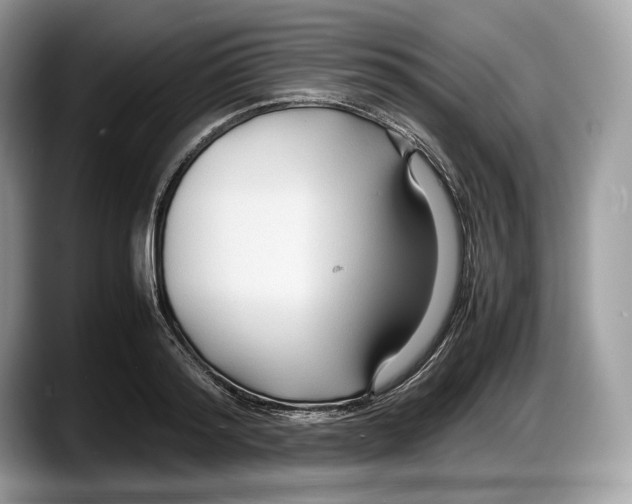 X0000087640796200705311326