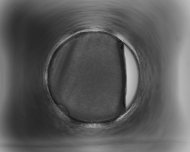 X0000087640797200705311326