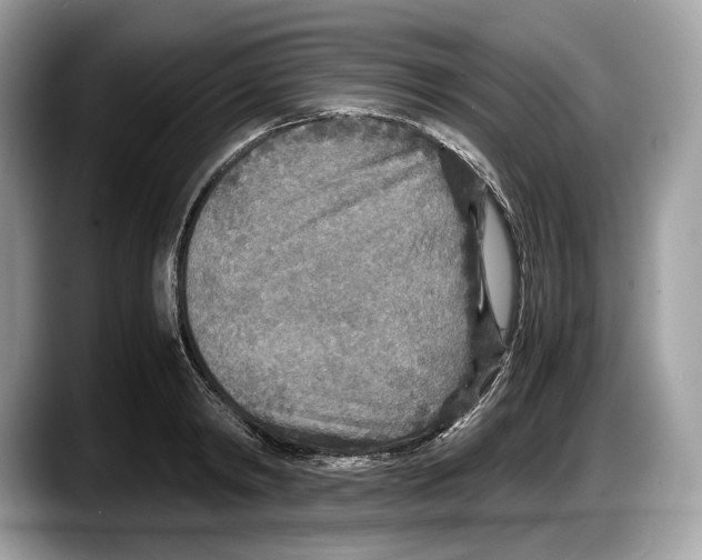 X0000087640798200705311326