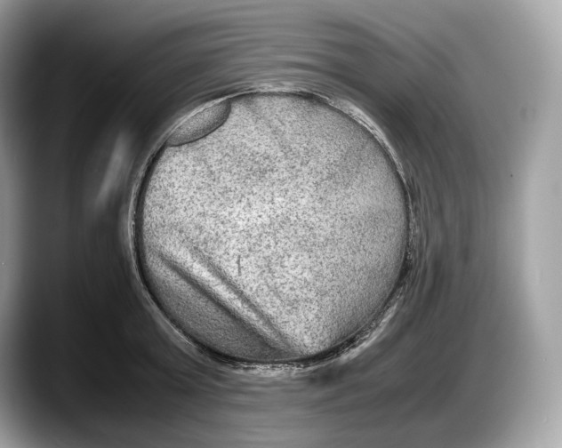 X0000087640803200705311325