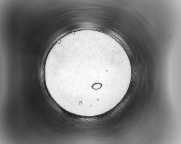 X0000087640804200705311325