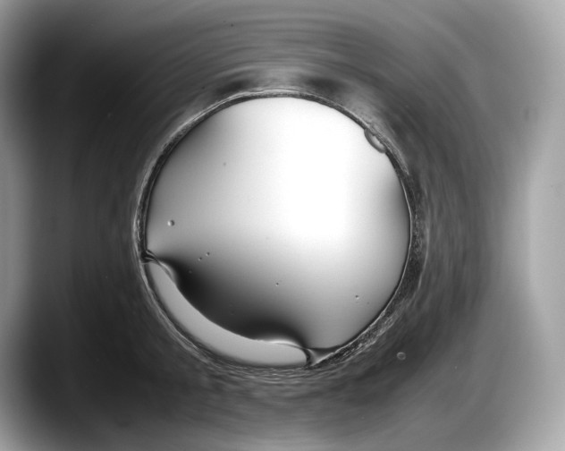 X0000087640805200705311325