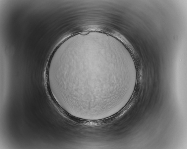 X0000087640806200705311325