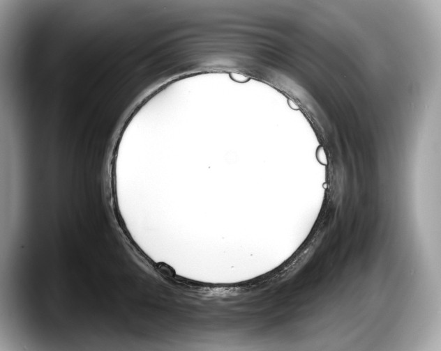 X0000087640808200705311325