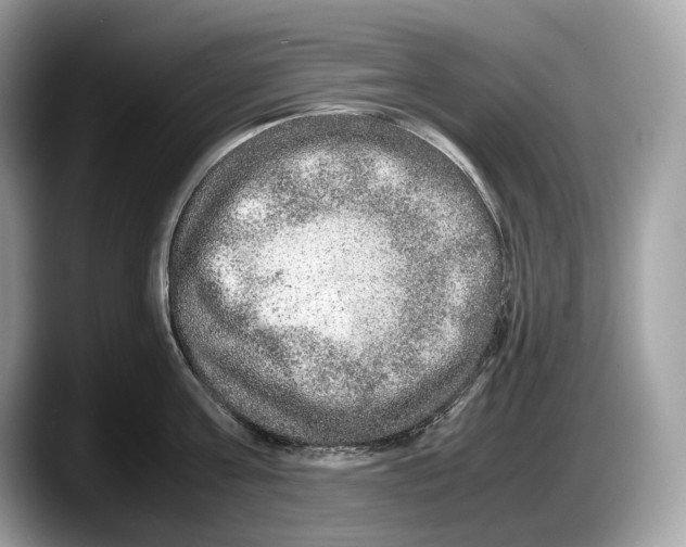 X0000087640811200705311325