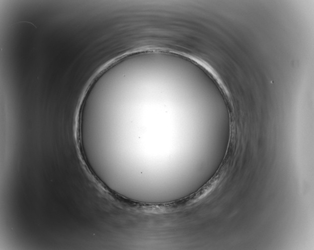 X0000087640815200705311325