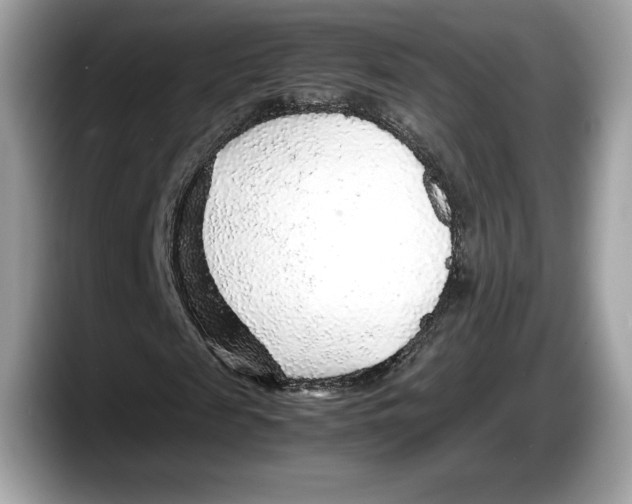 X0000087640817200705311325