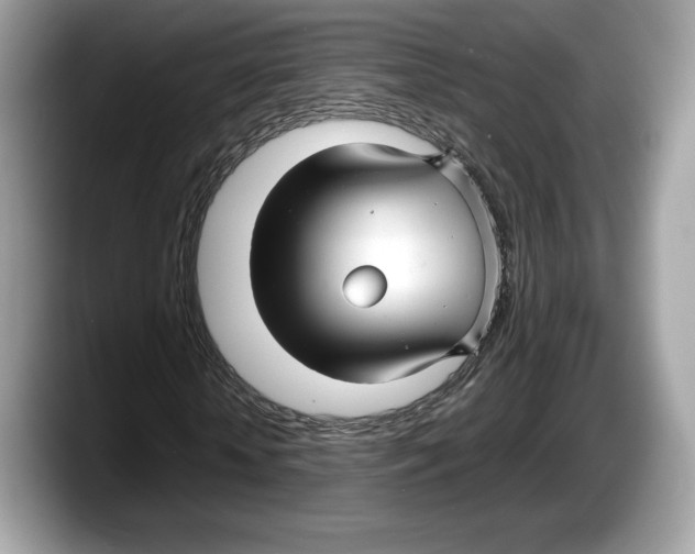 X0000087640818200705311325