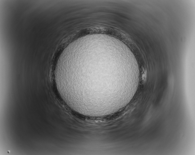 X0000087640819200705311325